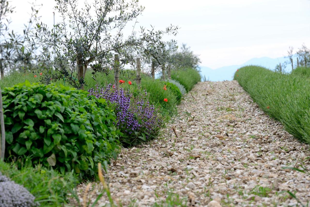 Agriturismo2Laghi Ponti sul Mincio Kültér fotó